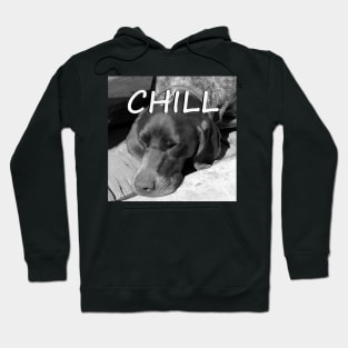 Chill Hoodie